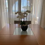 Ionion Beachfront Vilă