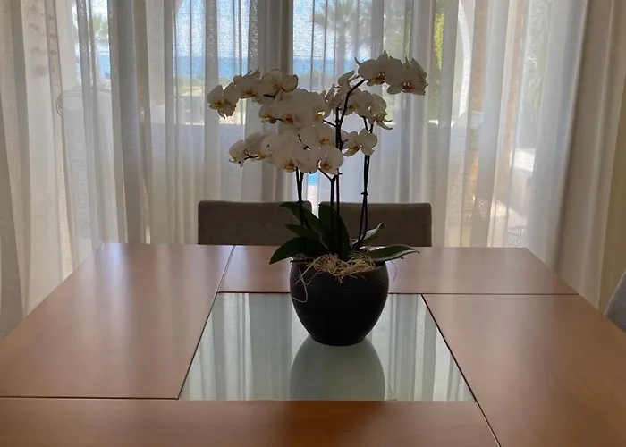 Ionion Beachfront 别墅